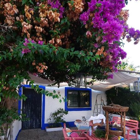 فيلا Casa Con Sierra Y Con Portugal Rosal de la Frontera المظهر الخارجي الصورة