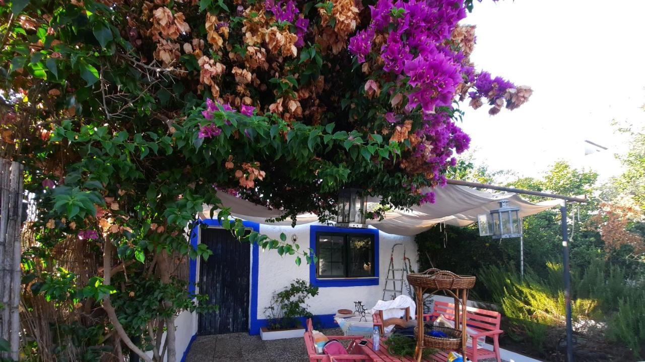 فيلا Casa Con Sierra Y Con Portugal Rosal de la Frontera المظهر الخارجي الصورة